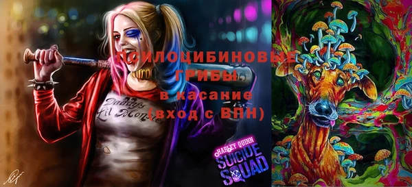 ALPHA-PVP Алексеевка