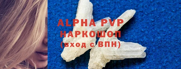 СК Алексин